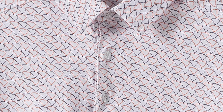 SC State Outline (Orange/Purple)