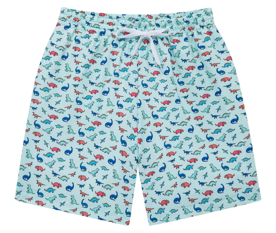 The Dinos Swim (Stretch)