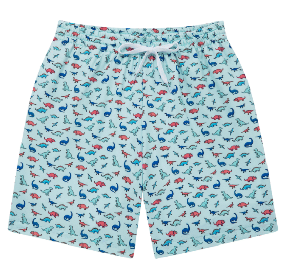Kids Dino Swim Trunks
