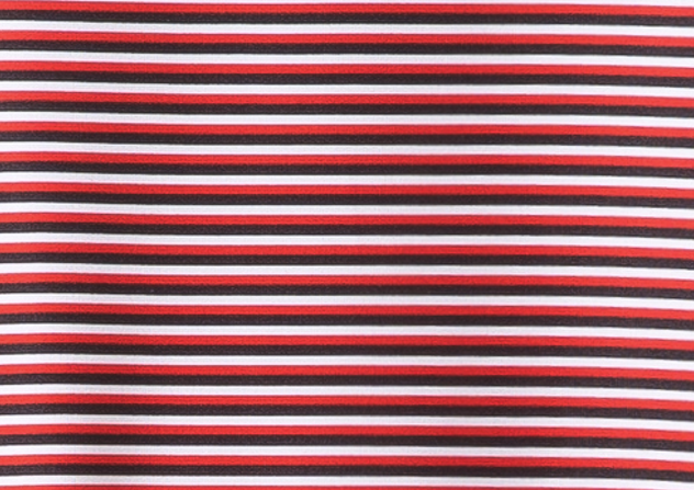 Micro Red, Black & White Stripe Polo